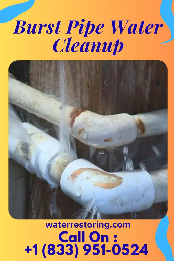 Burst Pipe Water Cleanup in Round Lake, MN