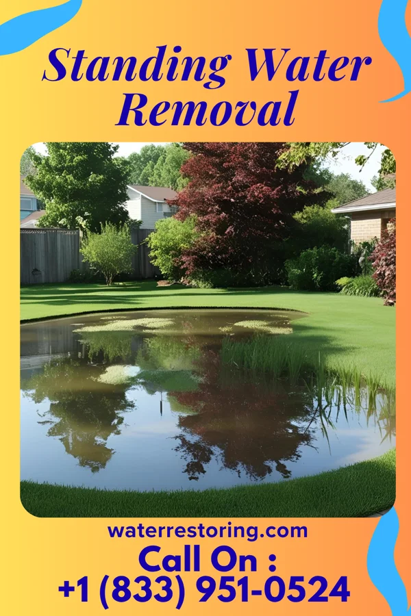 Standing Water Removal in Round Lake, MN